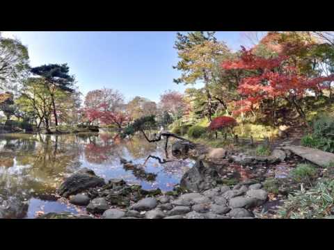 ✅  Beautifull Nature View ❗❭ Check on VR gear box for best experience  ❬