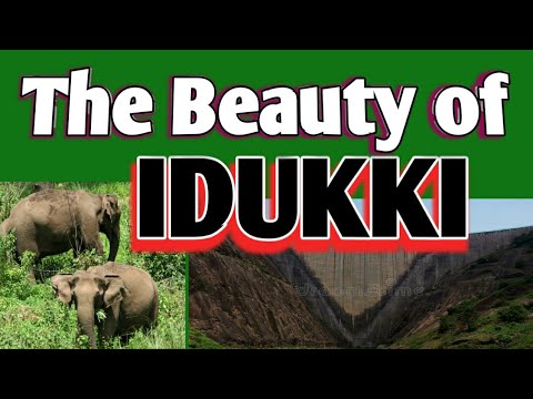 The Beauty  of Idukki  #Shaji vs Shaji# Nature Beauty