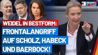 Alice Weidel settles accounts with the Germany-haters in the government! - AfD parliamentary grou...