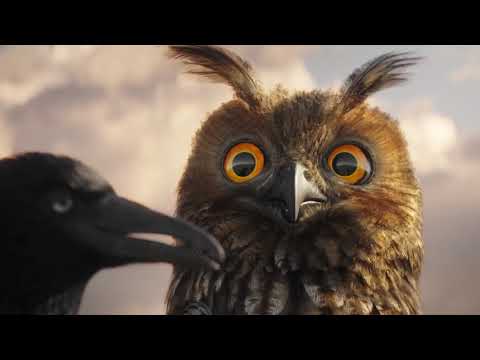 ➤ Voll auf E - Vögel auf der Stromleitung - (das Ballert)