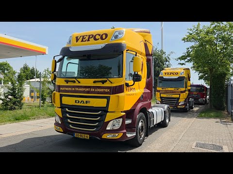 DAF CF 410 video nahled
