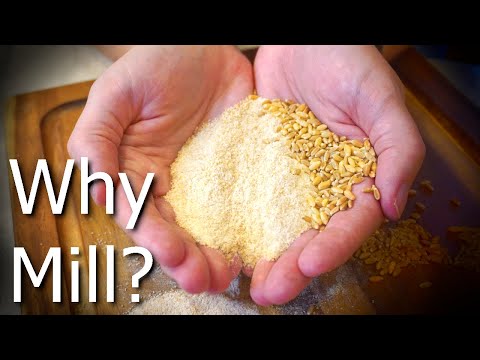Maximize Your Health with Freshly Milled Wheat
