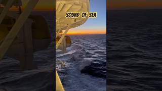 Sound Of Sea || Cruise Ship 🛳️ || Merchant Navy