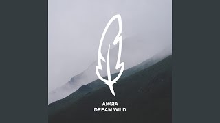 Dream Wild (Stil &amp; Bense Remix)