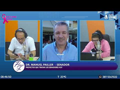 🎙️ Senadores tratan las cartas orgánicas de Pichanal y Apolinario Saravia