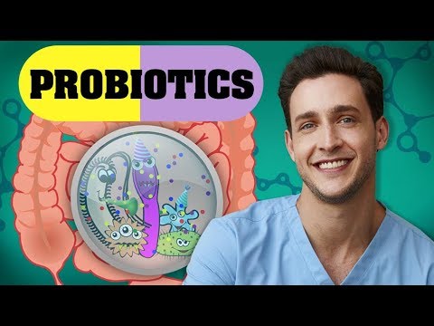 , title : 'Probiotics Benefits + Myths | Improve Gut Health | Doctor Mike'