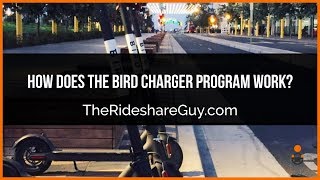 How Does The Bird Charger Program Work? Charging Electric Scooters (Review)