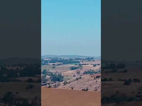 Olha Que Lindo De Jardim Alegre Sentido Godoy Moreira