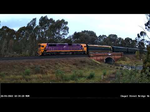SRV N456 S313 Bendigo Special Down - 18th April 2022