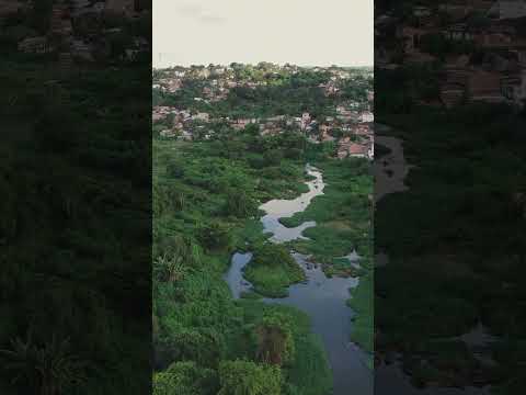 Capibaribe: O rio que moldou Pernambuco! 🇧🇷