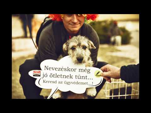 I. Páros Futam Oroszlány 2019.02.16.