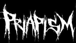 Priapism - Art of War/ Lyric video