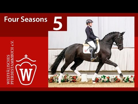 05 Four Seasons Stute v. For Romance - His Highness