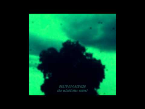 Death Of A Red Fish - The Wind (Cries Merry)