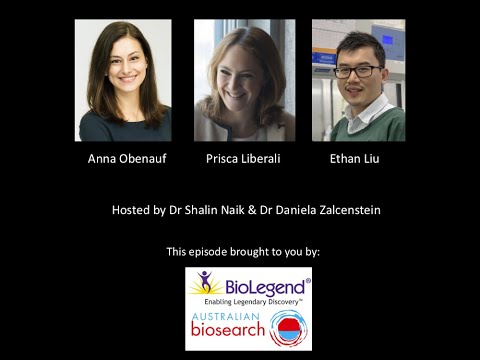 Oz Single Cell -  Lineage Tracing