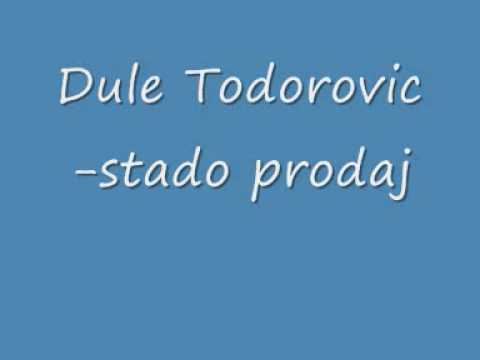 Dule Todorovic-stado prodaj snaji se ne nadaj