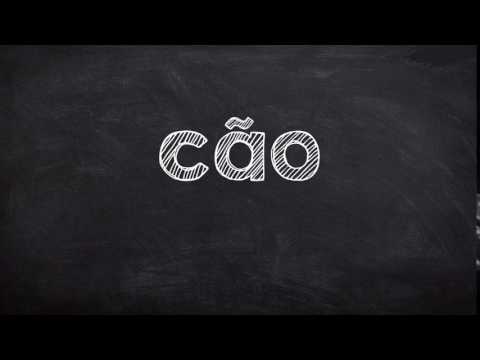 YouTube video about: How do you say dog in portuguese?