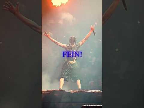 CRAZIEST Rappers Crowds 🤯 (Travis Scott, Kendrick Lamar, Sheck Wes)