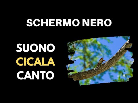 Suono CICALA | Schermo Nero ⚫🦗 [ASMR Rumore Bianco] 10 Ore Per Dormire