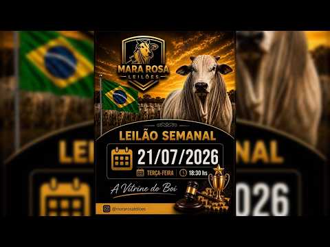 MARA ROSA LEILÕES - GOIÁS - LEILÃO DE GADO DE CORTE 21/07/2026