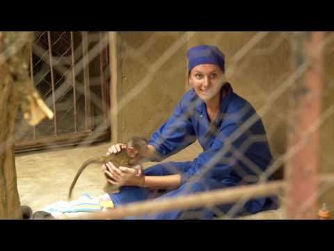 Joss Stone visits the Wildlife Centre