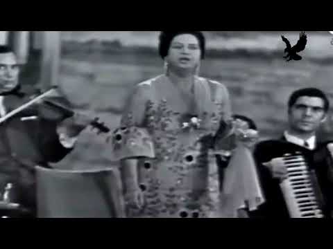 Live: The Magic of 'Hazahe Laylat のサムネイル