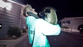 EMOTIONAL REUNION WITH APOLLO AFTER HE RAN AWAY...