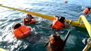 preview picture of video 'Snorkling at Sigayan Bay Laiya Beach Resort prt.1'