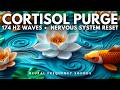 174 Hz Nervous System Reset Release Anxiety Pain Inner Tension 8 Hour Meditation Music