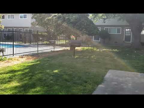 Del Prado Apartments