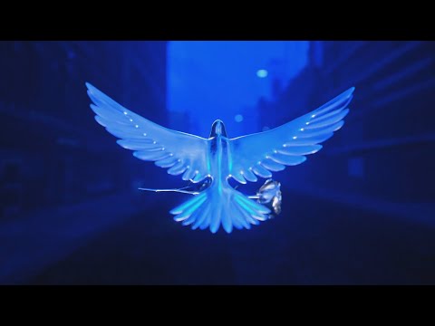 MotaJr x Piri BXD - Bandido (Visual) 🕊🕊🕊