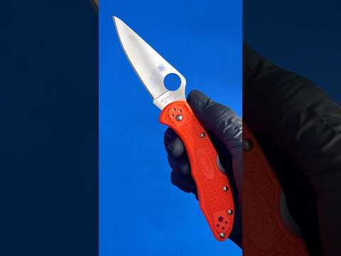 Spyderco Delica C11PSBK Knife Review | OsoGrandeKnives com