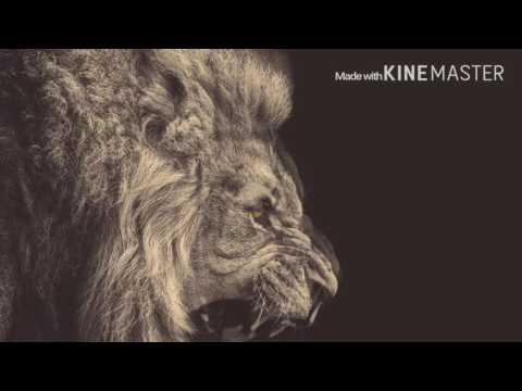 Avicii - Levels(Skrillex Remix) feat Zomboy - Terror Squad(Remix) [DSJ]