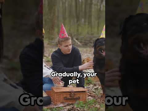 Paw-some Pals: 30-Second Guide to Pet Socialization