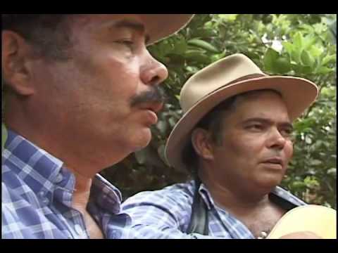 Zé Mulato e Cassiano - Amargurado / Proparo Esquisitona