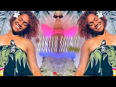 Controller RemiiX [ Wanted Soundz ] 2024