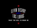 Elvin Bishop & Los Lobos - "What the Hell is Going On" *PREMIERE*