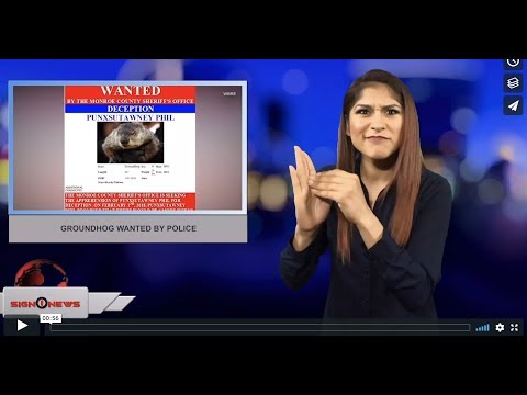 Groundhog wanted by police (3.24.18)