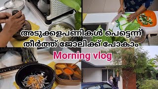 Mindful morning vlog|breakfast lunch dinner recipe|easy fish recipe|kutti dosa|easy chutney|cleaning