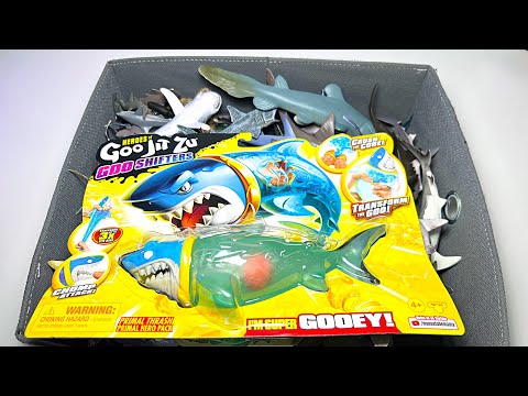 Sharks Collection - Bamboo Shark, Salmon Shark, Megamouth, Great White, Thresher, Lemon Shark