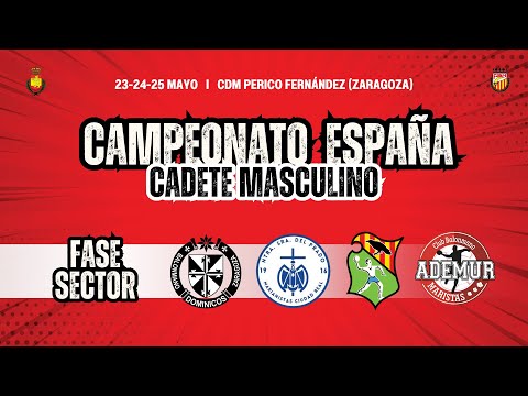 Dominicos Cadete Masculino vs Balonmano Granollers | Sector interestatal Cadete Masculino