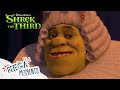 Shrek S New Look Shrek The Third Movie Moments Mega Moments