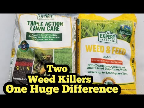 How To Use Weed and Feed And When To Use Explained
