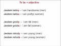 Learn how to use verb