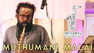Muthumani Malai -  Chinna Gounder  Sax Cover by Na