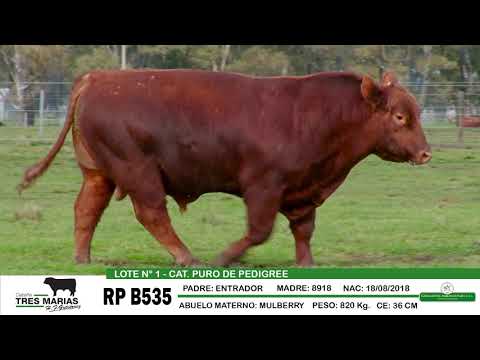 TOROS PP   LOTE 1   RP B535 Cabaña Tres Marías