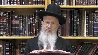 הגאון הרב אברהם יוסף שליט"א האם מותר להתחתן, ולהסתפר, ולשמוע כלי נגינה בימי בין המצרים (הרב אברהם יוסף) - התמונה מוצגת ישירות מתוך אתר האינטרנט יוטיוב. זכויות היוצרים בתמונה שייכות ליוצרה. קישור קרדיט למקור התוכן נמצא בתוך דף הסרטון