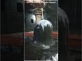 Jyotirling Nageshwar Aundha Nagnath