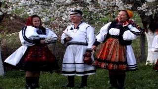 Maria Tripon - Nu-i pasăre ca cucu - Romanian folk music from Oaș Country
