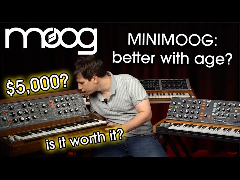 The Moog Minimoog: Is It Worth It? | The Original vs. the Modern Reproduction, the Behringer Poly D